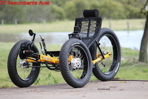 MagnumFat1 recumbent trike